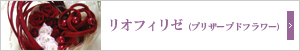 リオフィリゼ（プリザーブドフラワー）